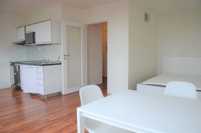 Spacious studio 1+kk for rent in the Expo residence, Prague 8 - Karlín - reception, roof terrace