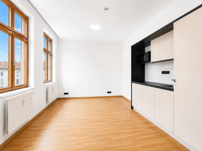 Studio Apartment for Rent with Basement Storage, Elevator and Shared Terrace – Prague 3, Žižkov