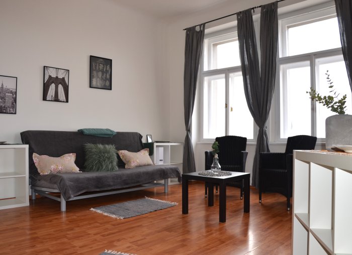 Dlouhodobý pronájem zařízeného bytu 1+1, 55 m², Praha 2 – Nové Město